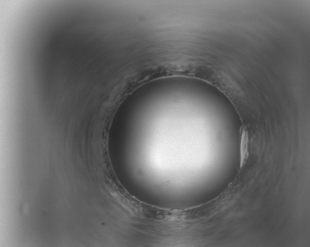 X0000072940961200607282159