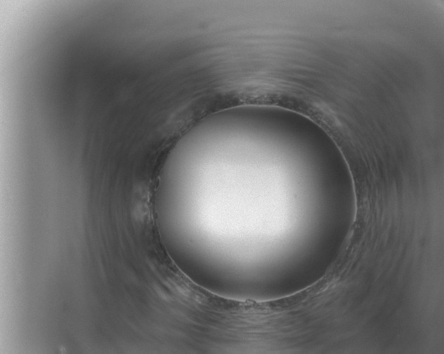 X0000072940964200607282159