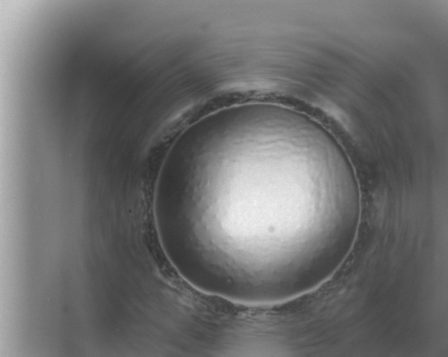 X0000072940967200607282159