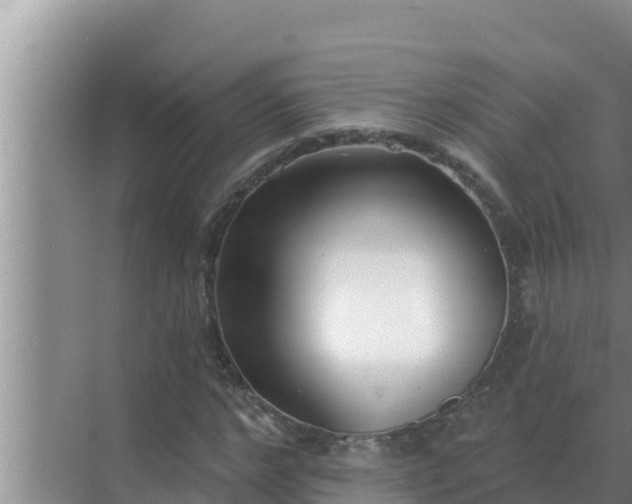 X0000072940968200607282159