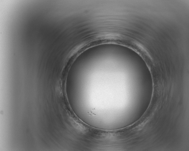 X0000072940970200607282159