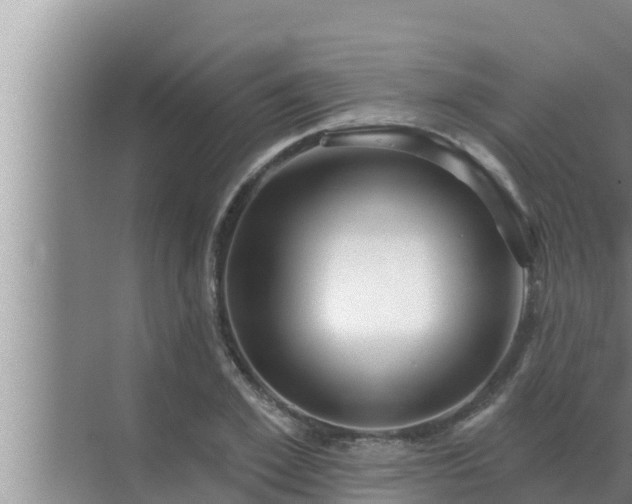 X0000072940981200607282159