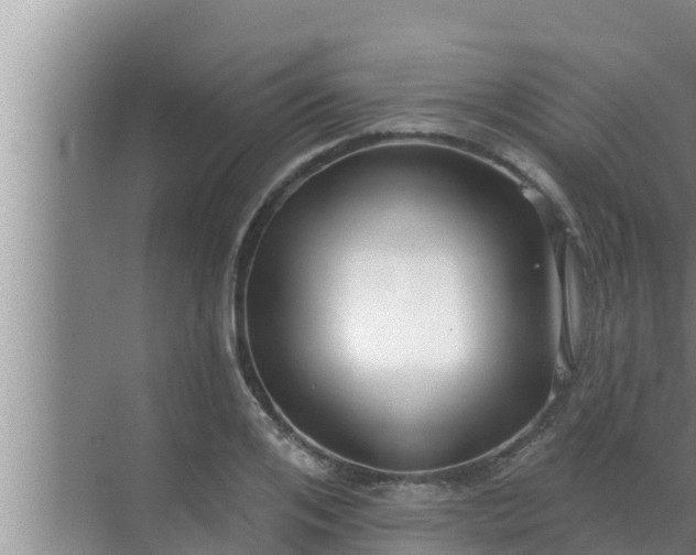 X0000072940984200607282159