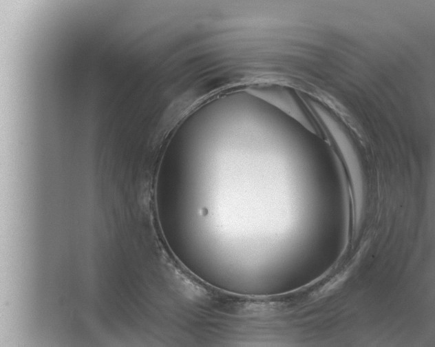 X0000072940985200607282159