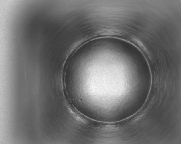 X0000072940986200607282159