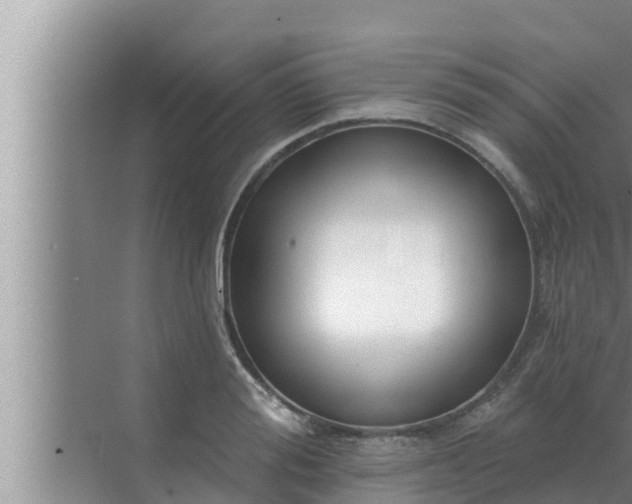 X0000072940988200607282159