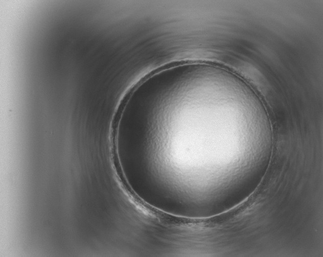 X0000072940990200607282159