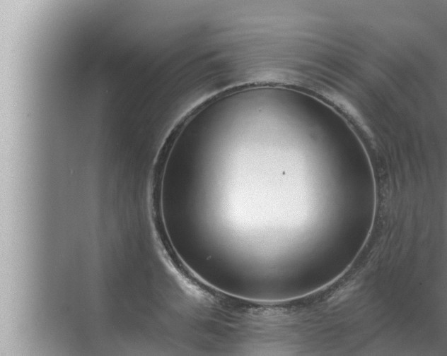 X0000072940991200607282159