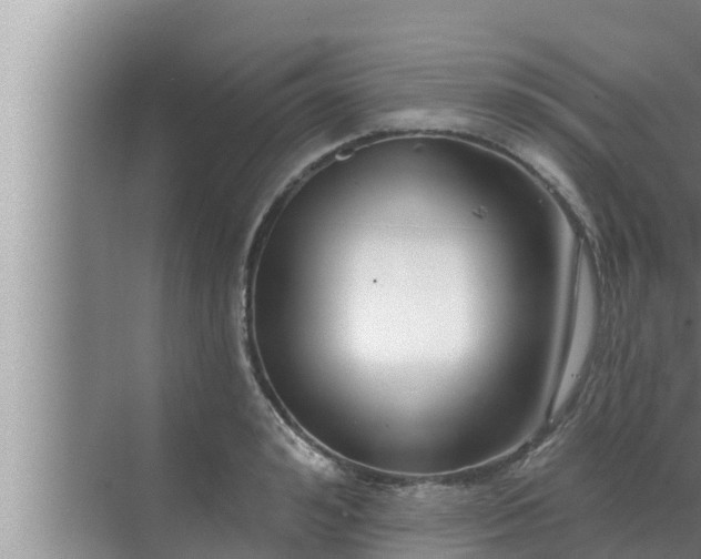 X0000072940992200607282159