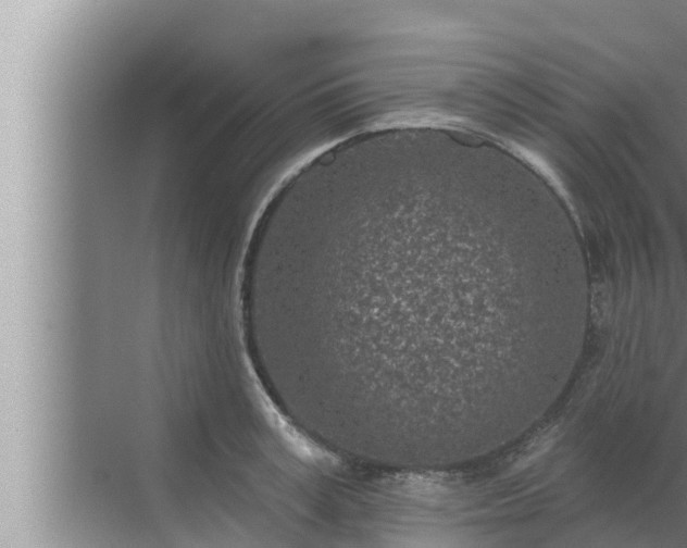 X0000072940995200607282158