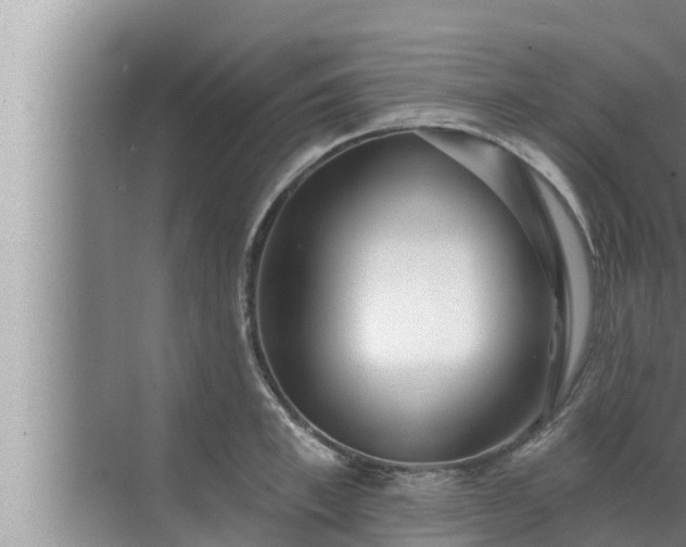 X0000072940997200607282158