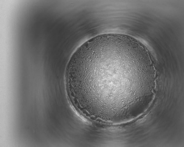 X0000072940998200607282158