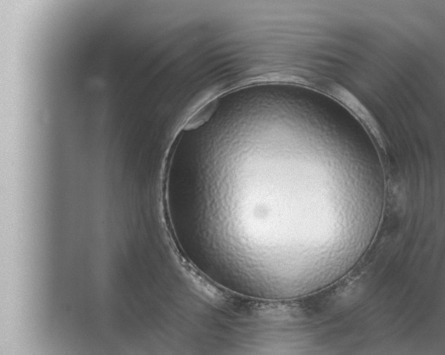 X0000072941002200607282158