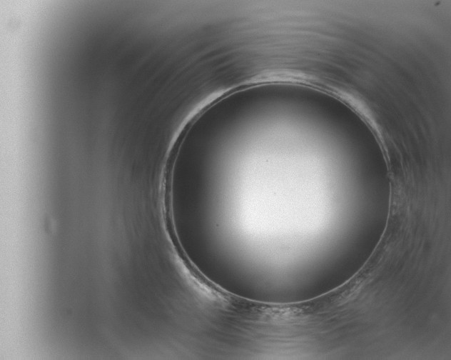 X0000072941003200607282158