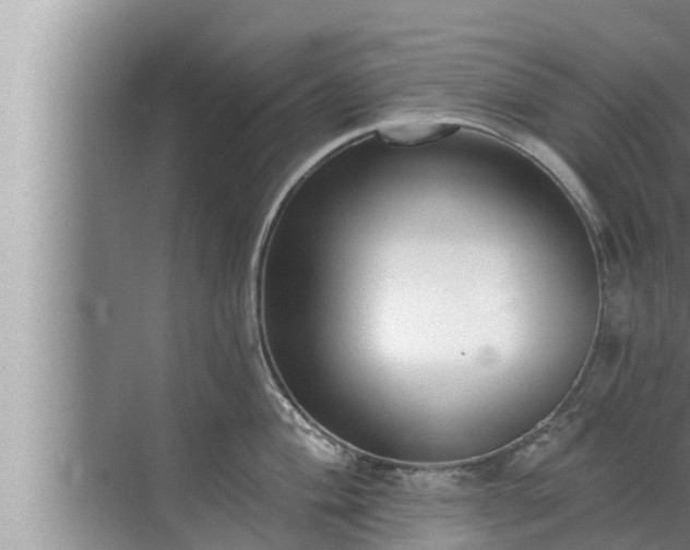 X0000072941004200607282158