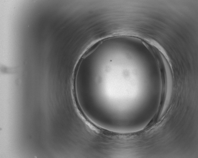 X0000072941005200607282158