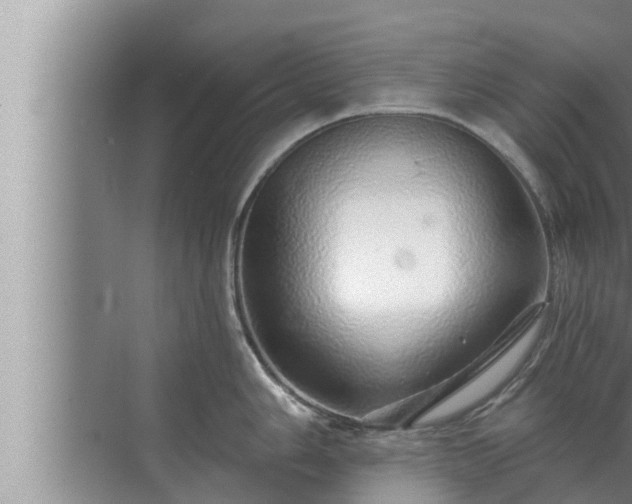 X0000072941006200607282158