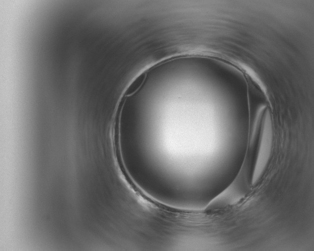 X0000072941007200607282158