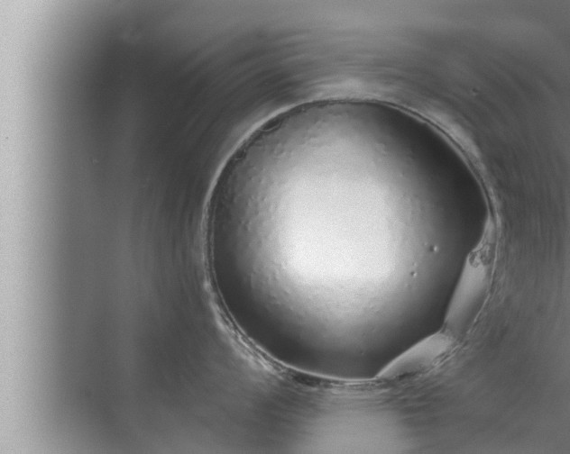 X0000072941008200607282158