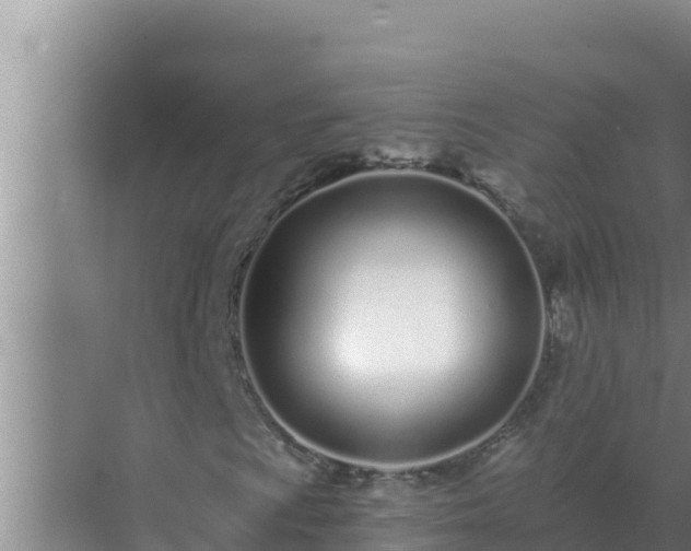 X0000072941009200607282157