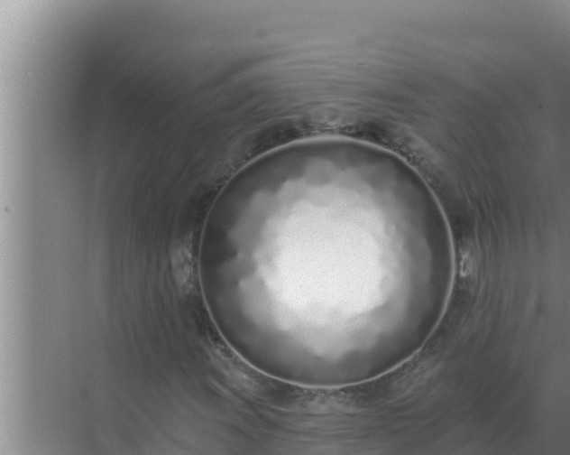 X0000072941011200607282157