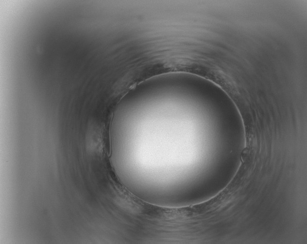 X0000072941012200607282157