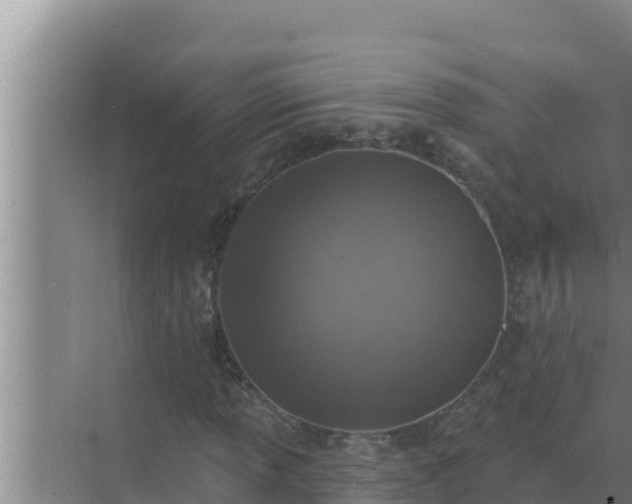 X0000072941013200607282157