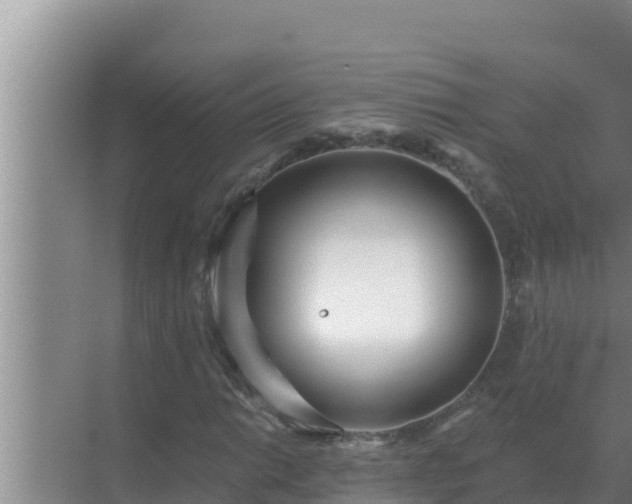 X0000072941014200607282158