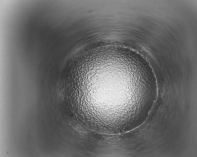 X0000072941015200607282158