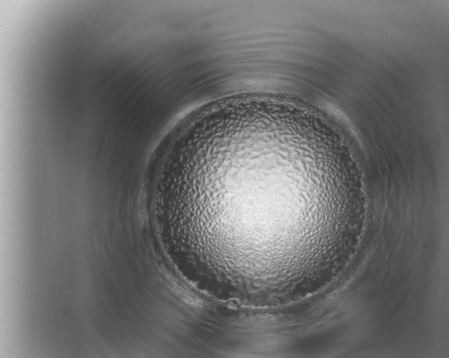 X0000072941019200607282158