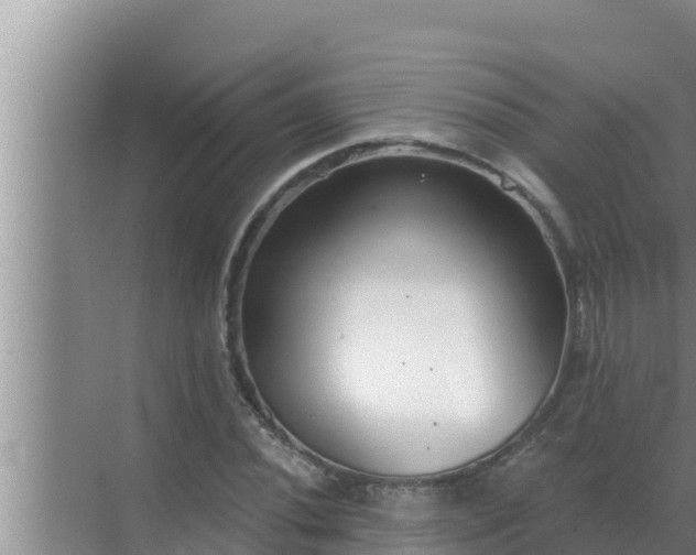 X0000072941020200607282158