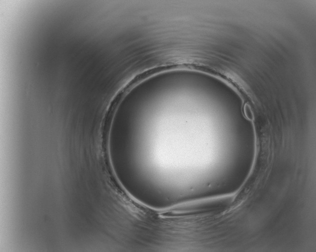 X0000072941023200607282158