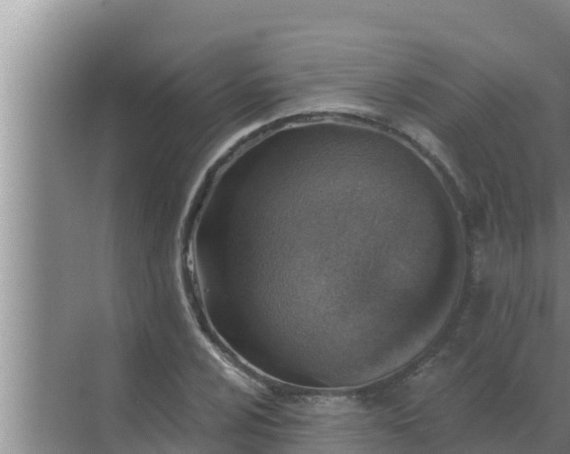 X0000072941024200607282158