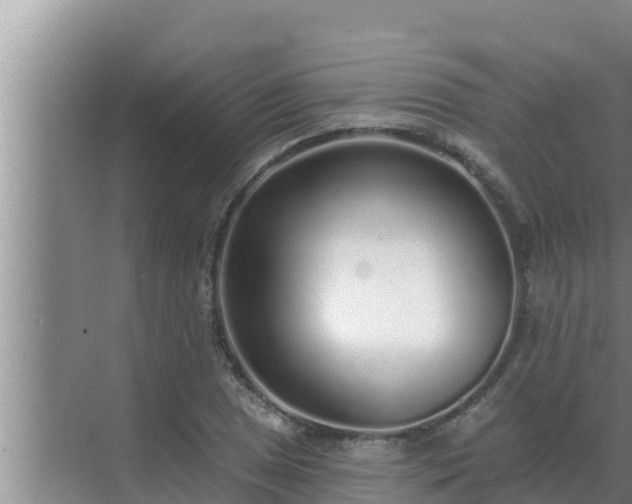 X0000072941025200607282158