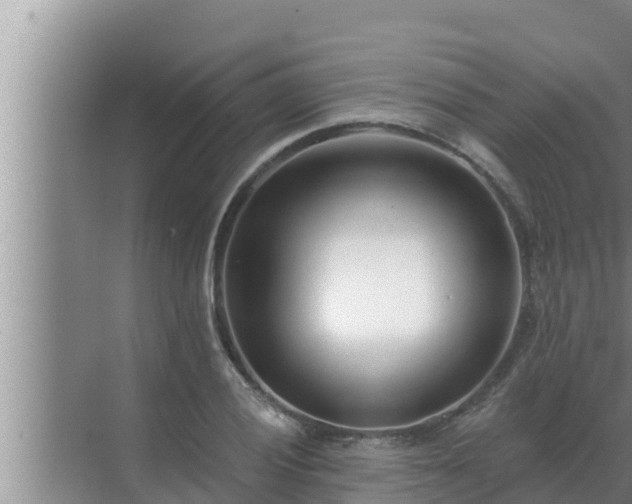 X0000072941028200607282158