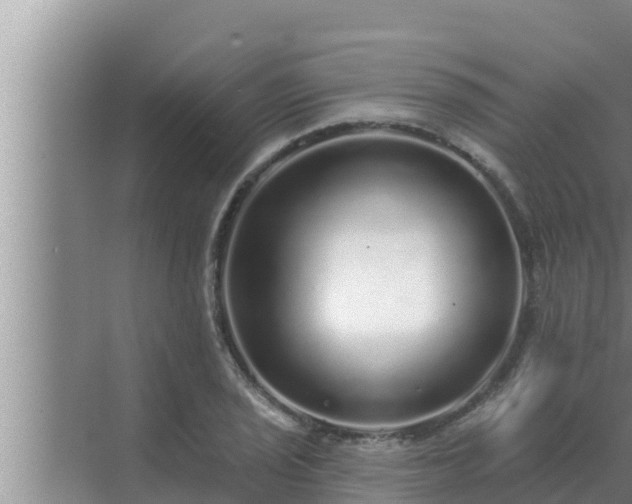 X0000072941029200607282158