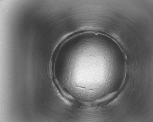 X0000072941030200607282158