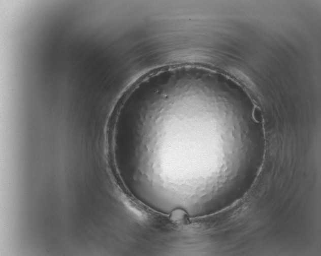 X0000072941031200607282158