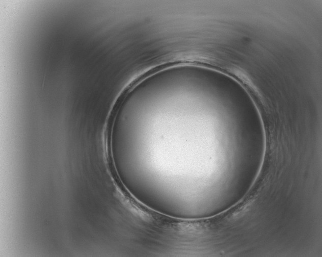 X0000072941032200607282158