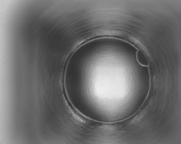 X0000072941033200607282158