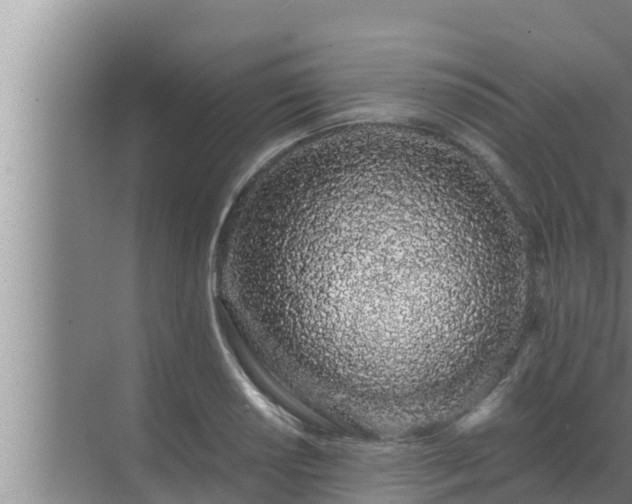 X0000072941034200607282158