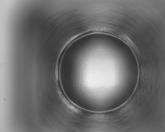 X0000072941036200607282158