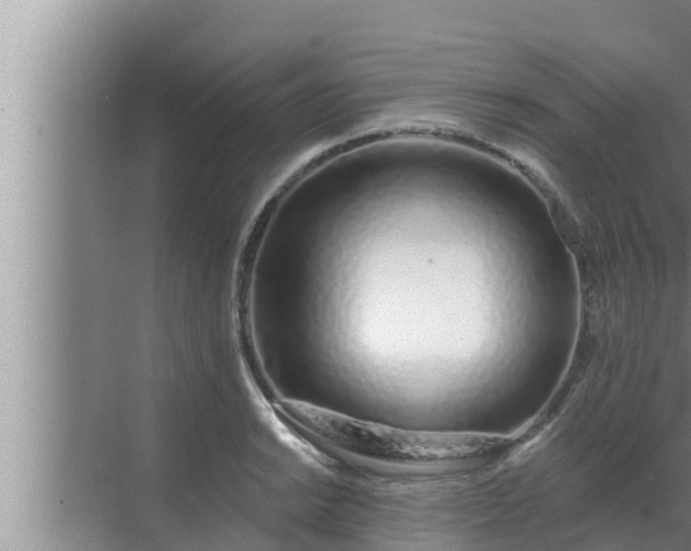 X0000072941038200607282158