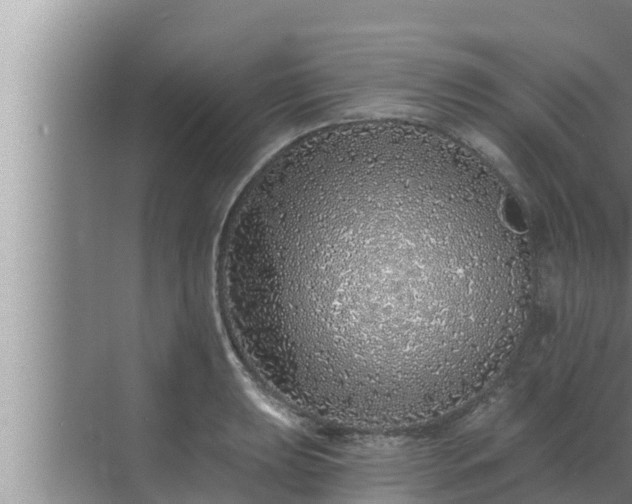 X0000072941039200607282158