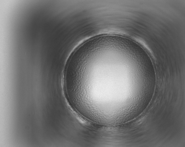 X0000072941040200607282158