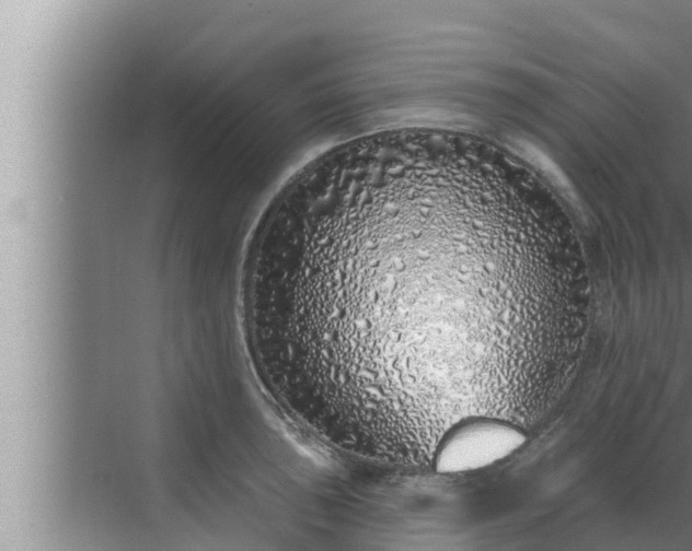 X0000072941043200607282158