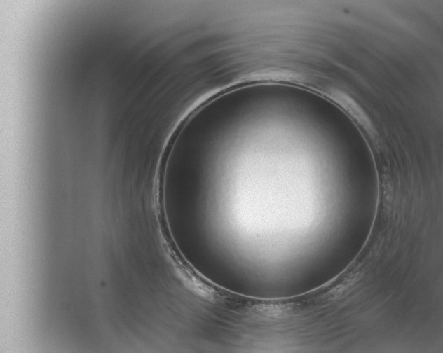 X0000072941044200607282158