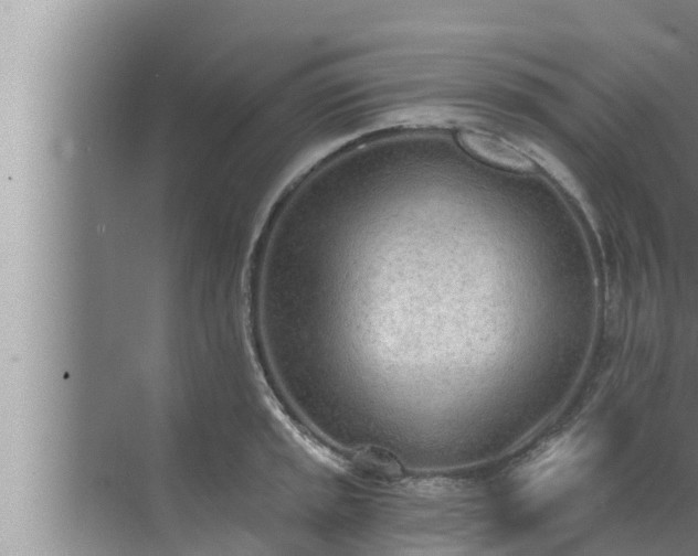 X0000072941045200607282158