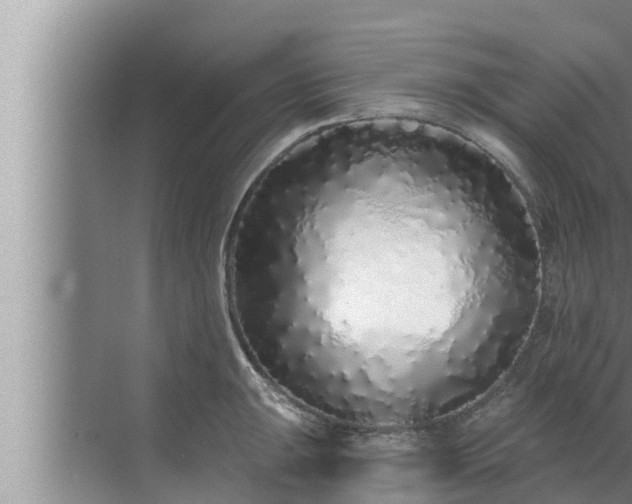 X0000072941047200607282158