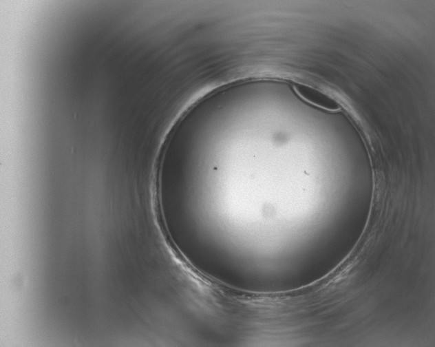 X0000072941048200607282158